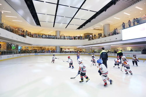 冬日阳光下的时髦心事 运动项目经营者的城事随想